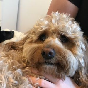 Meet your Posher, Julia